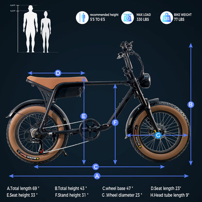 Electric Fat Tire Bike (K3)