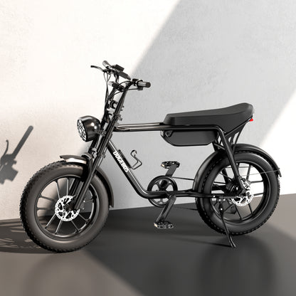 Adult Electric Bicycle(E3)